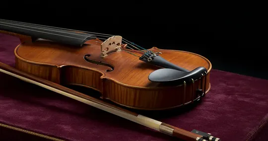 Musical instrument museum holdings