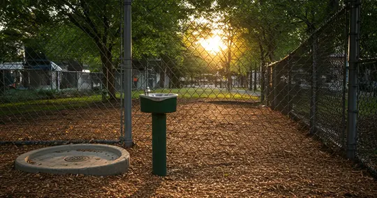 Neighborhood dog-park finder