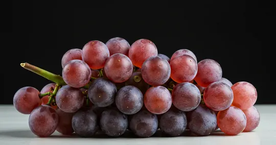 Pinot Gris