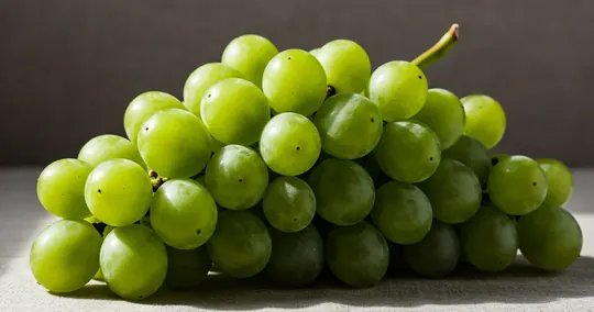 Sauvignon Blanc