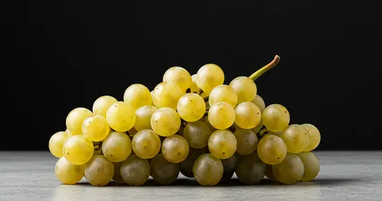 Sémillon